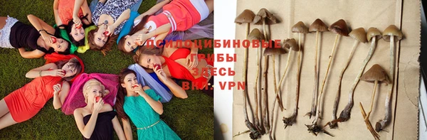 трава Нязепетровск