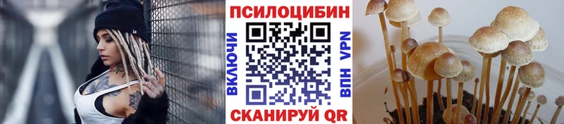 мега онион  Удомля  Псилоцибиновые грибы GOLDEN TEACHER  цены  