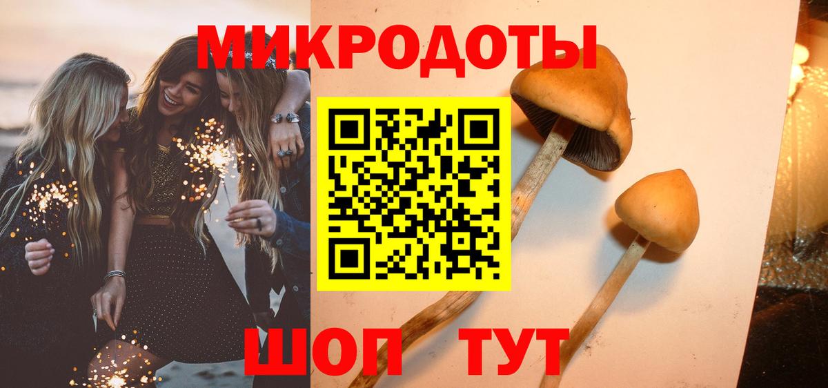 Псилоцибиновые грибы Cubensis Удомля