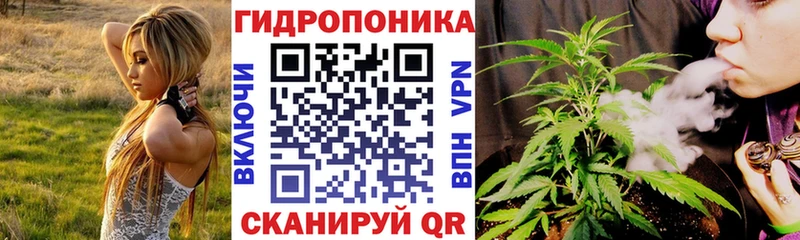 darknet официальный сайт Удомля Каннабис планчик